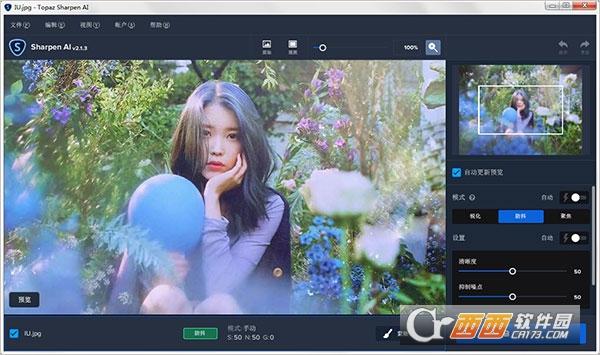 topazsharpenai破解版,使用体会教程,topazsharpenai手机版.